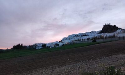 delivery-driver-dies-in-tragic-crash-near-cadiz-expat-haven-–-as-calls-grow-to-make-local-roads-safer