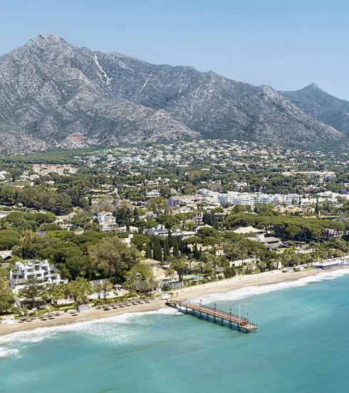 thief-nearly-dies-after-swallowing-gold-chain-stolen-in-marbella