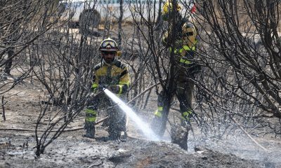 azcon,-sobre-el-incendio-de-ores:-“hoy-es-el-primer-dia-que-respiramos”