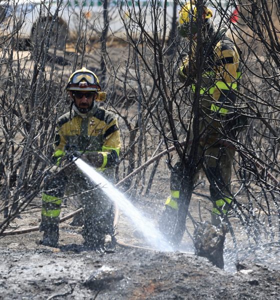 azcon,-sobre-el-incendio-de-ores:-“hoy-es-el-primer-dia-que-respiramos”