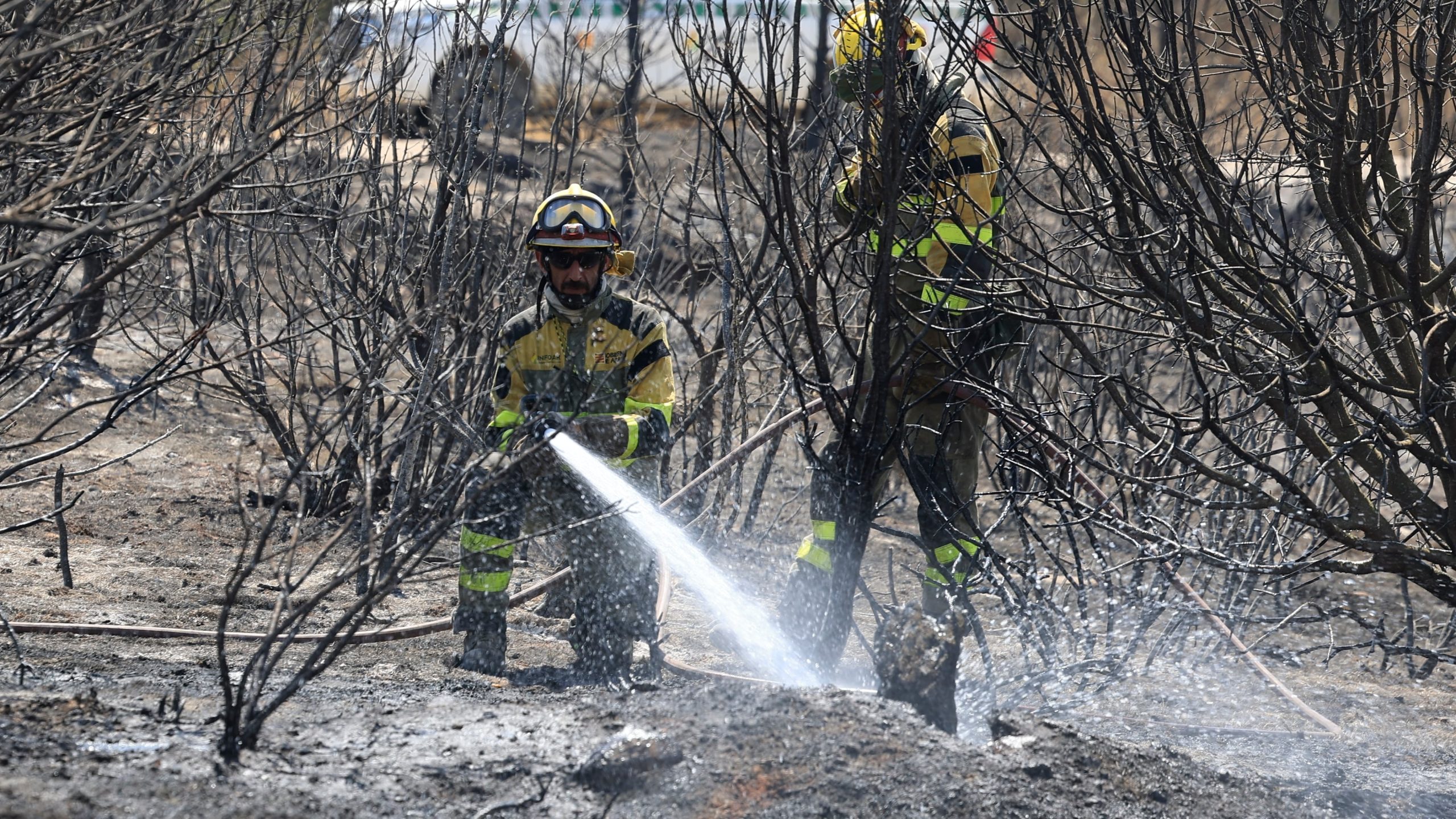 azcon,-sobre-el-incendio-de-ores:-“hoy-es-el-primer-dia-que-respiramos”