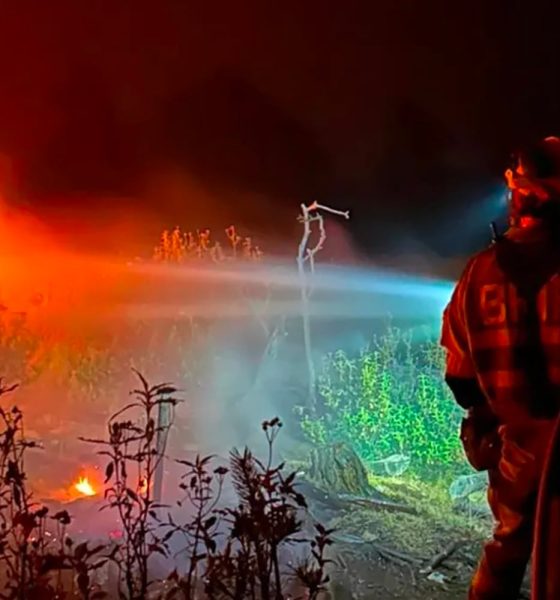 ultima-hora-de-los-incendios-forestales,-en-directo-|-sanchez-visita-las-zonas-afectadas-por-el-fuego-en-guadalajara