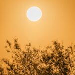 murcia’s-calima-turns-dangerous-as-toxic-air-hits-asthma-and-allergy-sufferers-hardest