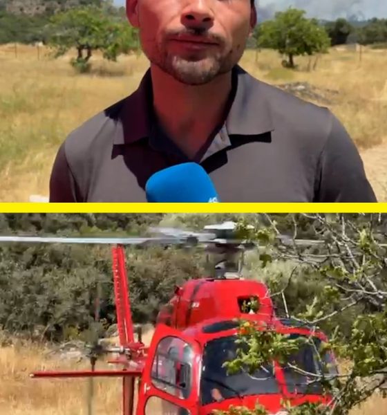 los-incendios-de-madrid-se-fusionan:-“una-de-las-cosas-que-mas-preocupa-a-los-profesionales-es-el-viento”