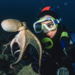 world’s-first-octopus-farm-left-dead-in-the-water-in-spain