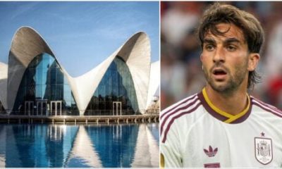 valencia’s-oceanografic-aquarium-names-shark-after-spain’s-world-cup-hero-ferran-torres
