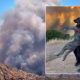 ‘thank-you,-heroes’:-guardia-civil-officers-hailed-after-risking-their-lives-to-save-pet-dog-from-madrid-wildfire