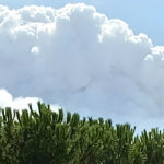 sudden-rain,-lightning-and-flight-disruption-risk-explained
