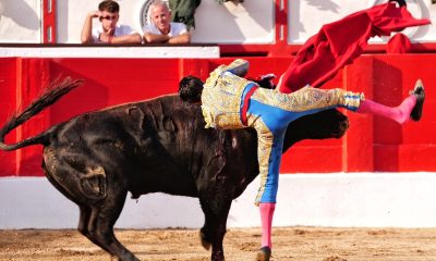 marco-perez-sufre-una-herida-en-el-muslo-derecho-con-dos-trayectorias-en-la-ultima-corrida-de-la-feria-santander