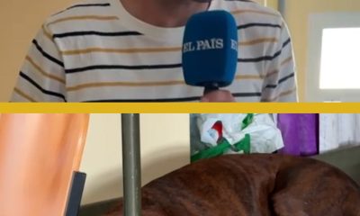 los-desalojados-con-mascota-en-villamanta:-“lo-primero-que-hice-fue-coger-a-mi-perro”