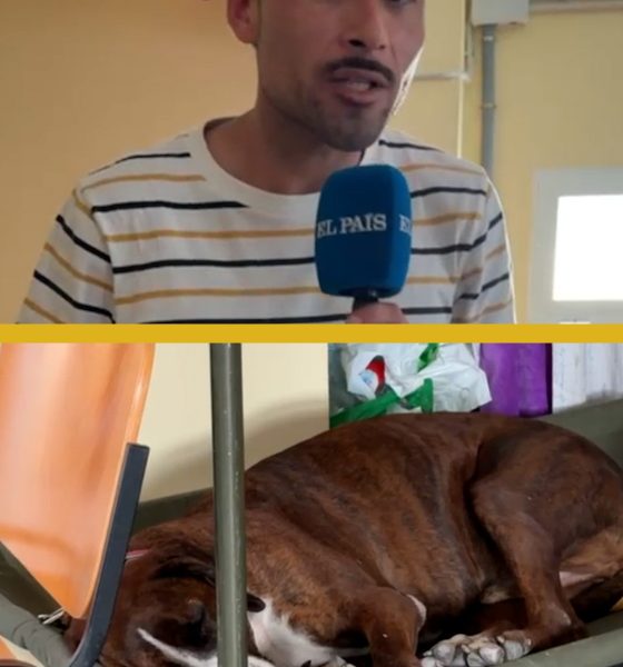 los-desalojados-con-mascota-en-villamanta:-“lo-primero-que-hice-fue-coger-a-mi-perro”
