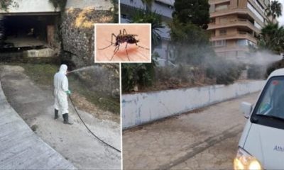 west-nile-virus-‘alert-zone’-on-the-costa-del-sol:-fuengirola-and-mijas-start-after-fumigations-after-positive-test