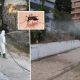 west-nile-virus-‘alert-zone’-on-the-costa-del-sol:-fuengirola-and-mijas-start-after-fumigations-after-positive-test