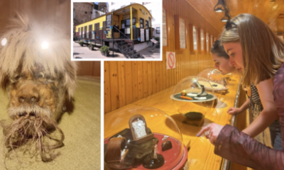 from-shrunken-heads-to-fleas-in-clothes:-the-miniature-museum-on-the-costa-del-sol-is-a-treasure-trove-of-tiny-curiosities