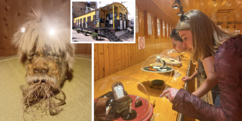 from-shrunken-heads-to-fleas-in-clothes:-the-miniature-museum-on-the-costa-del-sol-is-a-treasure-trove-of-tiny-curiosities