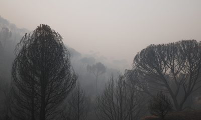 claves-de-los-incendios-|-hectareas-quemadas,-desalojos-y-carreteras-cortadas