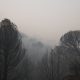 claves-de-los-incendios-|-hectareas-quemadas,-desalojos-y-carreteras-cortadas