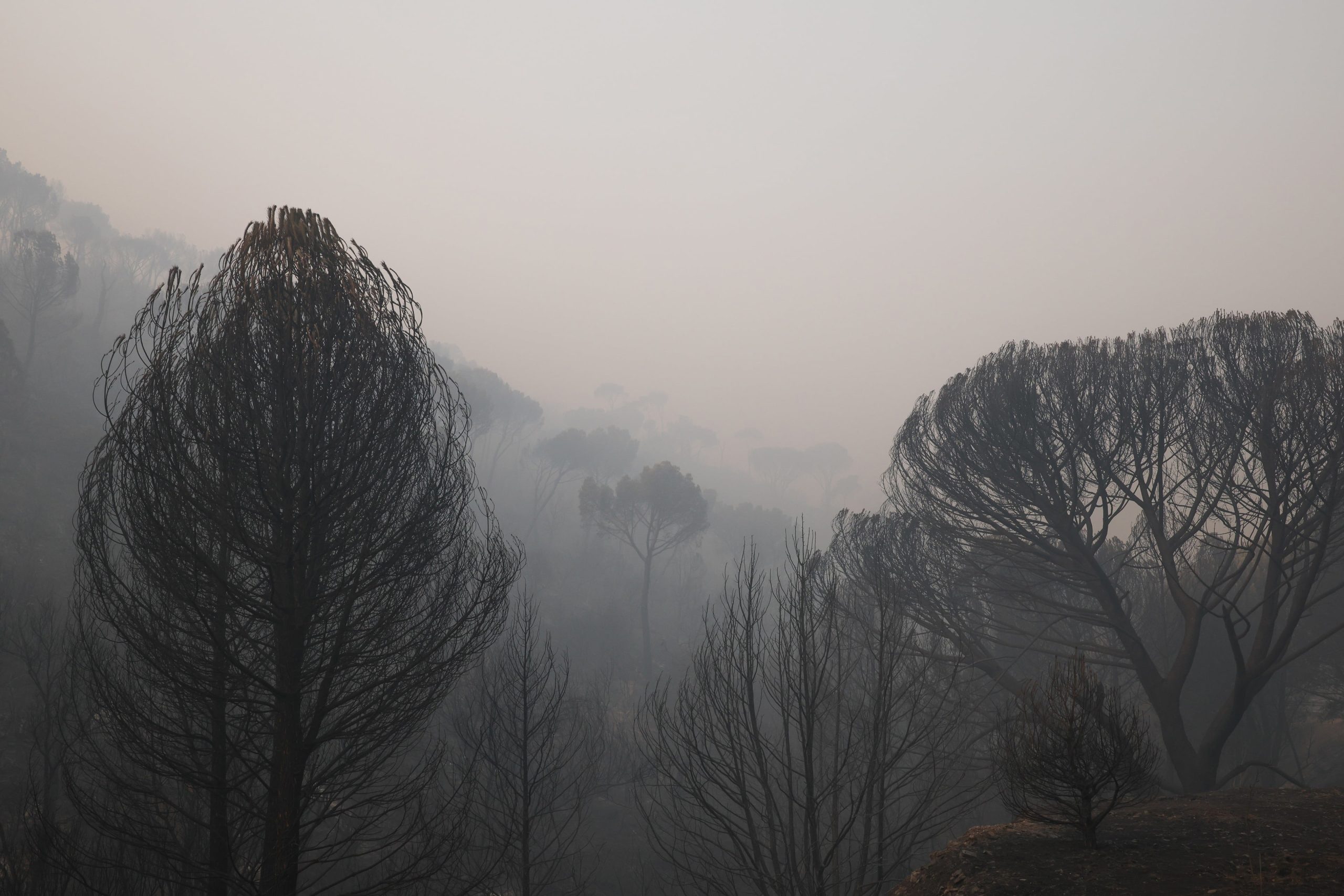 claves-de-los-incendios-|-hectareas-quemadas,-desalojos-y-carreteras-cortadas