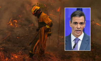 pedro-sanchez-issues-stark-warning-as-wildfires-continue-to-ravage-spain-amid-30km/h-winds-and-incoming-44c-heatwave-–-‘difficult-hours-lie-ahead’
