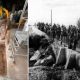 mass-spanish-civil-war-grave-unearthed-in-andalucia-as-up-to-9-victims-are-identified-–-including-one-showing-signs-of-violent-death