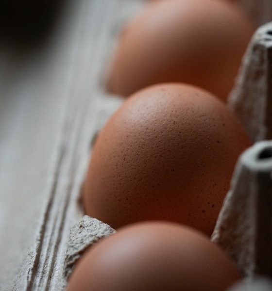 us-recalls-over-19-million-eggs-due-to-salmonella-outbreak-that-has-caused-illness-in-nearly-100-people
