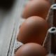 us-recalls-over-19-million-eggs-due-to-salmonella-outbreak-that-has-caused-illness-in-nearly-100-people