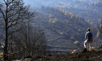 ultima-hora-de-los-incendios-forestales,-en-directo-|-marlaska-anuncia-que-en-las-ultimas-24-horas-“no-ha-habido-ningun-avance-del-fuego”-en-el-incendio-de-avila-y-madrid