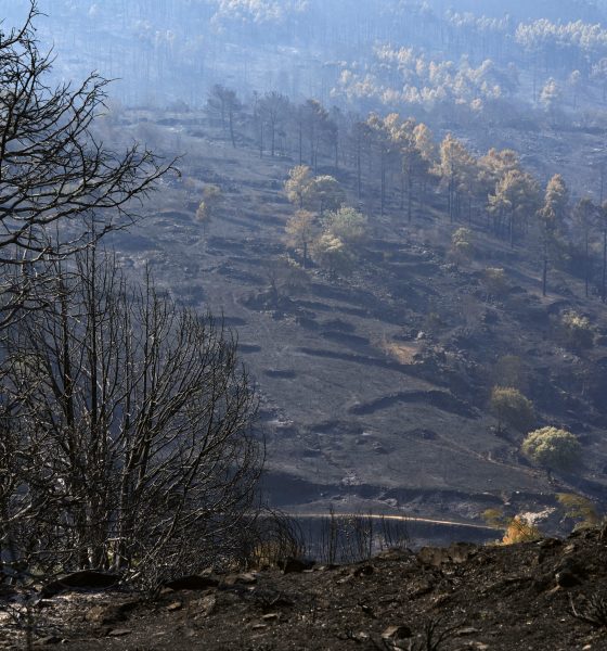 ultima-hora-de-los-incendios-forestales,-en-directo-|-marlaska-anuncia-que-en-las-ultimas-24-horas-“no-ha-habido-ningun-avance-del-fuego”-en-el-incendio-de-avila-y-madrid