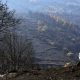 ultima-hora-de-los-incendios-forestales,-en-directo-|-marlaska-anuncia-que-en-las-ultimas-24-horas-“no-ha-habido-ningun-avance-del-fuego”-en-el-incendio-de-avila-y-madrid