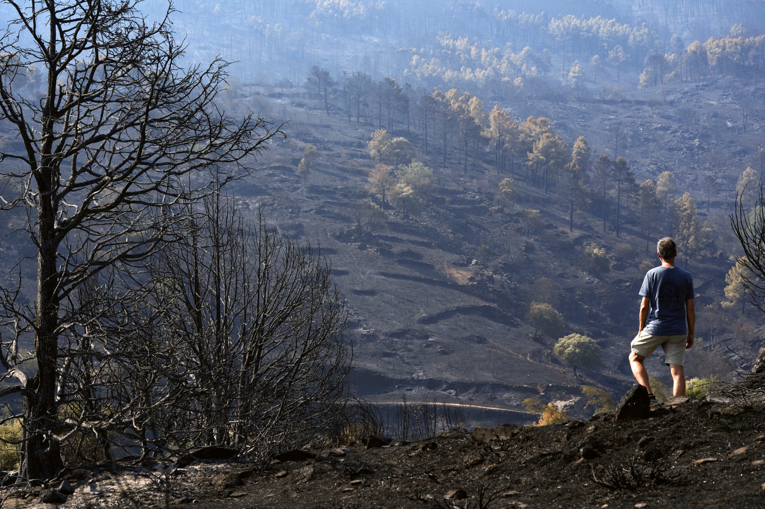 ultima-hora-de-los-incendios-forestales,-en-directo-|-marlaska-anuncia-que-en-las-ultimas-24-horas-“no-ha-habido-ningun-avance-del-fuego”-en-el-incendio-de-avila-y-madrid