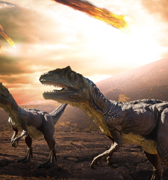 were-the-dinosaurs-incinerated-in-a-matter-of-hours?-the-meteorite-created-a-layer-of-dust-that-turned-the-planet-into-a-grill
