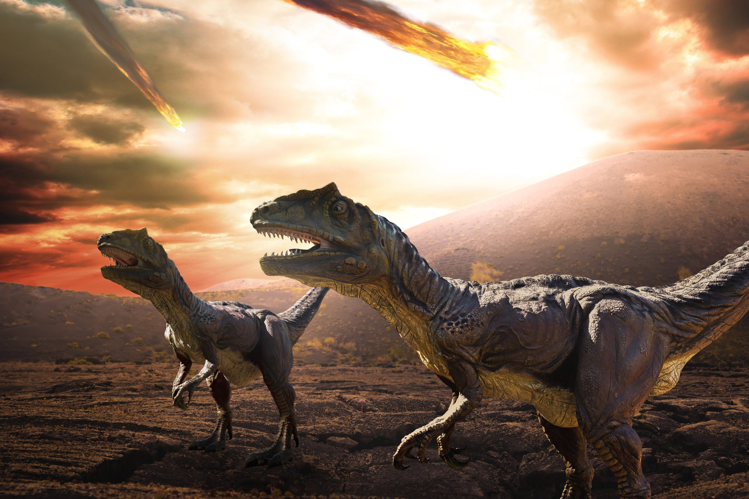 were-the-dinosaurs-incinerated-in-a-matter-of-hours?-the-meteorite-created-a-layer-of-dust-that-turned-the-planet-into-a-grill