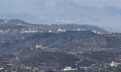 el-fallecimiento-de-una-mujer-hospitalizada-en-el-virgen-del-rocio-eleva-a-14-los-fallecidos-por-el-incendio-de-los-gallardos