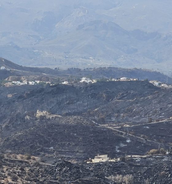 el-fallecimiento-de-una-mujer-hospitalizada-en-el-virgen-del-rocio-eleva-a-14-los-fallecidos-por-el-incendio-de-los-gallardos