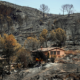 how-low-can-you-go?-reports-of-looting-spark-outrage-in-spain’s-wildfire-zones