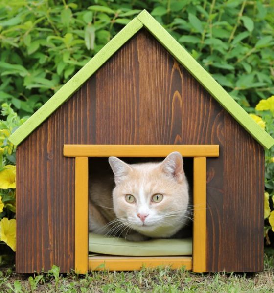 resistentes-y-acogedoras:-seis-casetas-para-gatos-ideales-para-patios,-jardines-y-terrazas