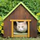 resistentes-y-acogedoras:-seis-casetas-para-gatos-ideales-para-patios,-jardines-y-terrazas