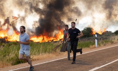 ultima-hora-de-los-incendios-forestales,-en-directo-|-interior-da-por-estabilizado-el-incendio-en-madrid,-pero-preocupa-uno-en-zamora-de-nivel-2