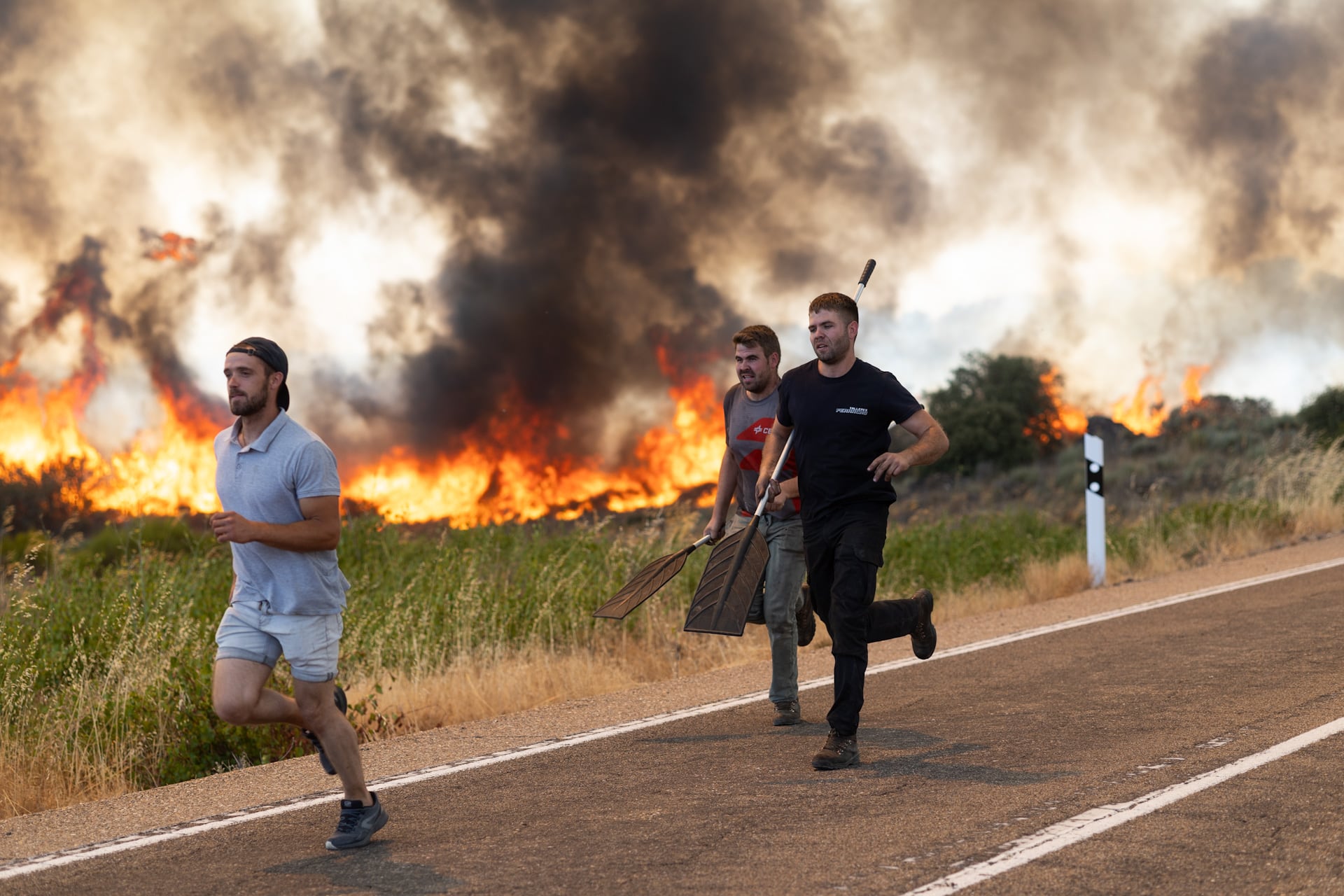 ultima-hora-de-los-incendios-forestales,-en-directo-|-interior-da-por-estabilizado-el-incendio-en-madrid,-pero-preocupa-uno-en-zamora-de-nivel-2