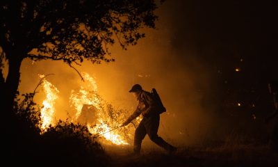 ultima-hora-de-los-incendios-forestales,-en-directo-|-el-incendio-de-zamora-obliga-a-desalojar-dos-poblaciones-mas