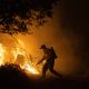 ultima-hora-de-los-incendios-forestales,-en-directo-|-el-incendio-de-zamora-obliga-a-desalojar-dos-poblaciones-mas