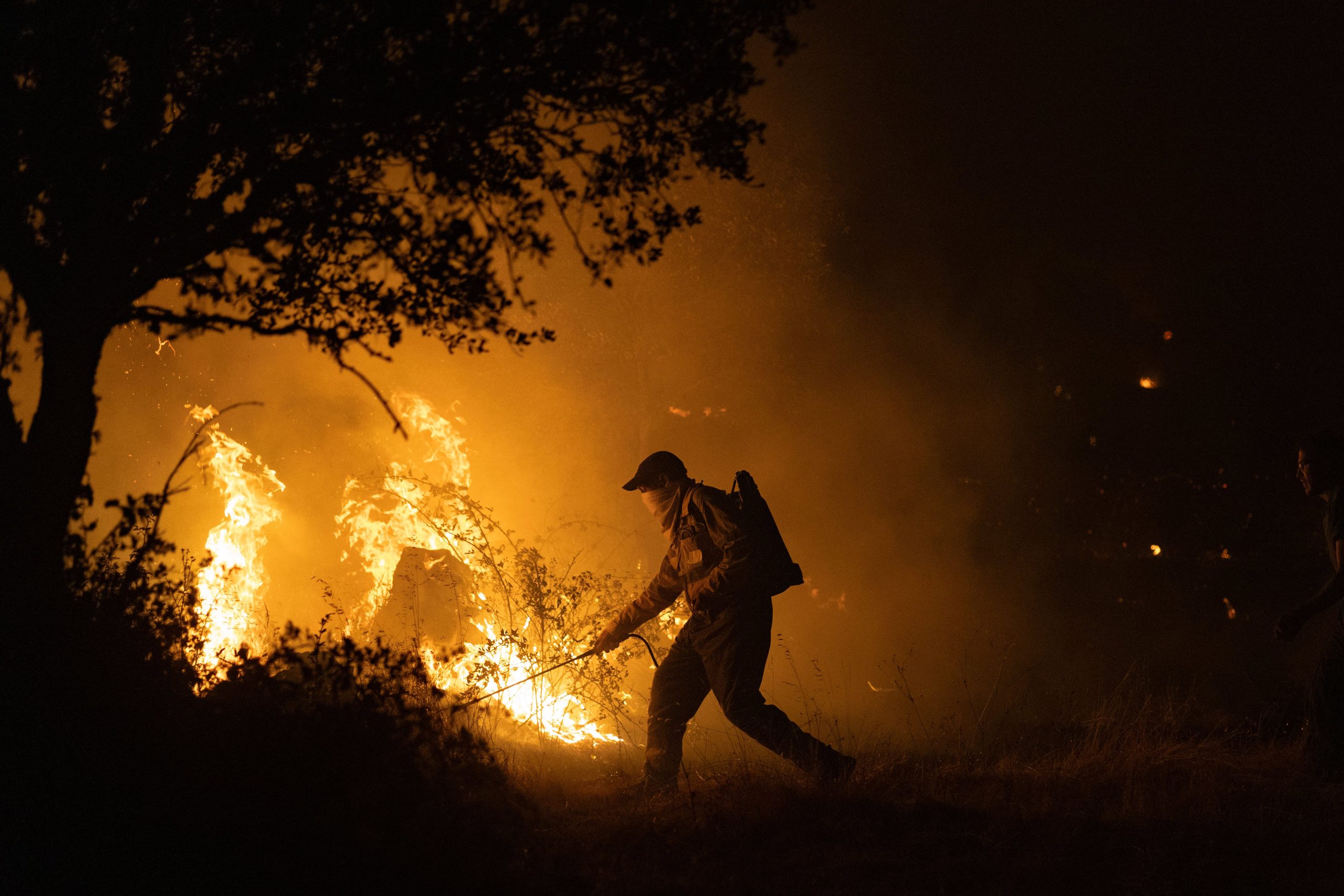 ultima-hora-de-los-incendios-forestales,-en-directo-|-el-incendio-de-zamora-obliga-a-desalojar-dos-poblaciones-mas
