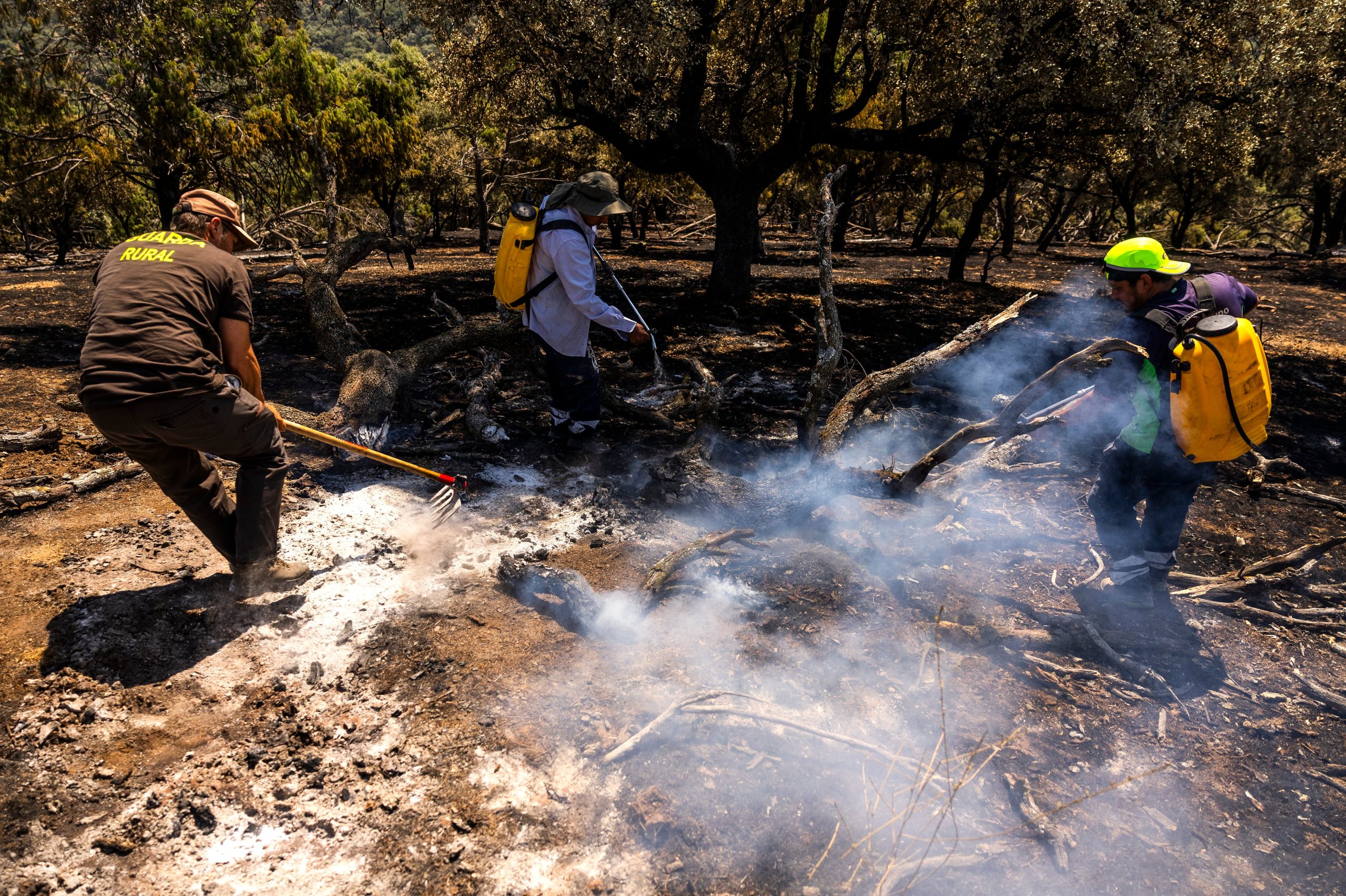 a-day-with-a-firefighting-crew-in-madrid:-‘the-firefighters-can’t-keep-up;-last-night-there-were-three-new-fires’