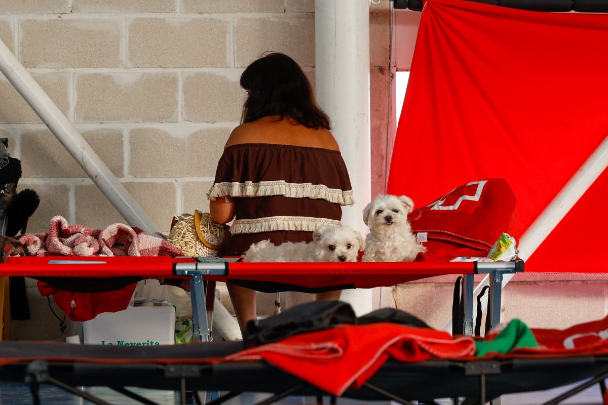 Wildfire evacuee in Spain