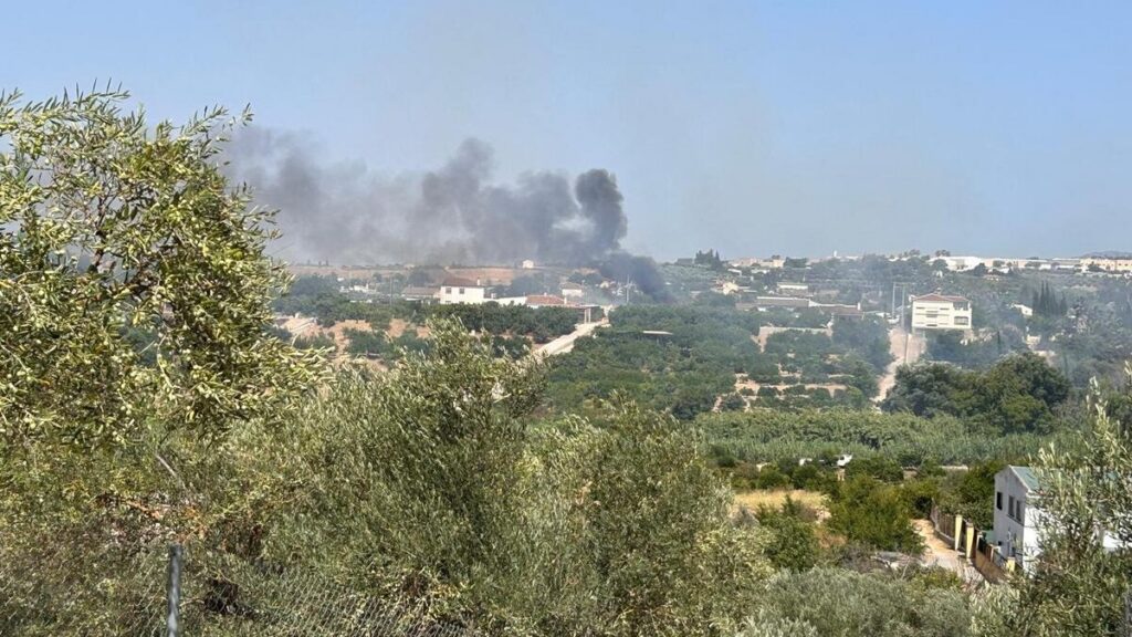 Alhaurin el grande fires