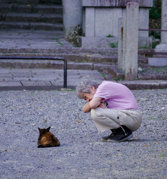 ‘nekonomics,’-or-the-great-japanese-cat-economy