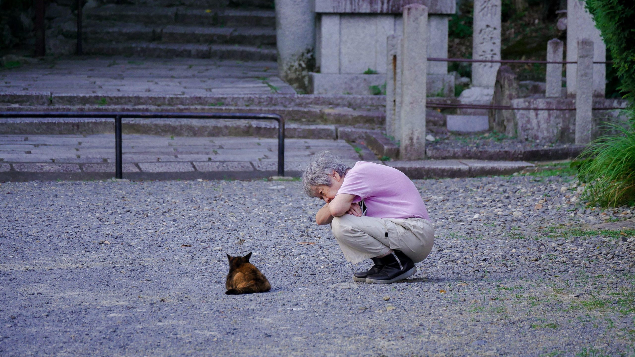 ‘nekonomics,’-or-the-great-japanese-cat-economy