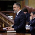 secret-talks,-intelligence-reports-and-ceuta:-vox-wants-it-all-revealed