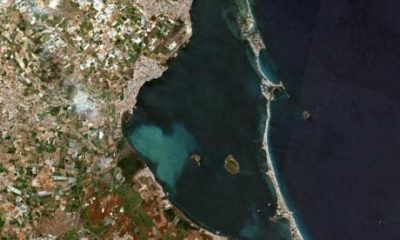 mysterious-‘white-blob’-in-spain’s-mar-menor-wipes-out-86%-of-fish-species-in-worst-hit-zone