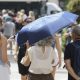 malaga-heatwave-warning-as-extreme-temperatures-threaten-over-85s-and-boost-hospital-admissions-for-dehydration